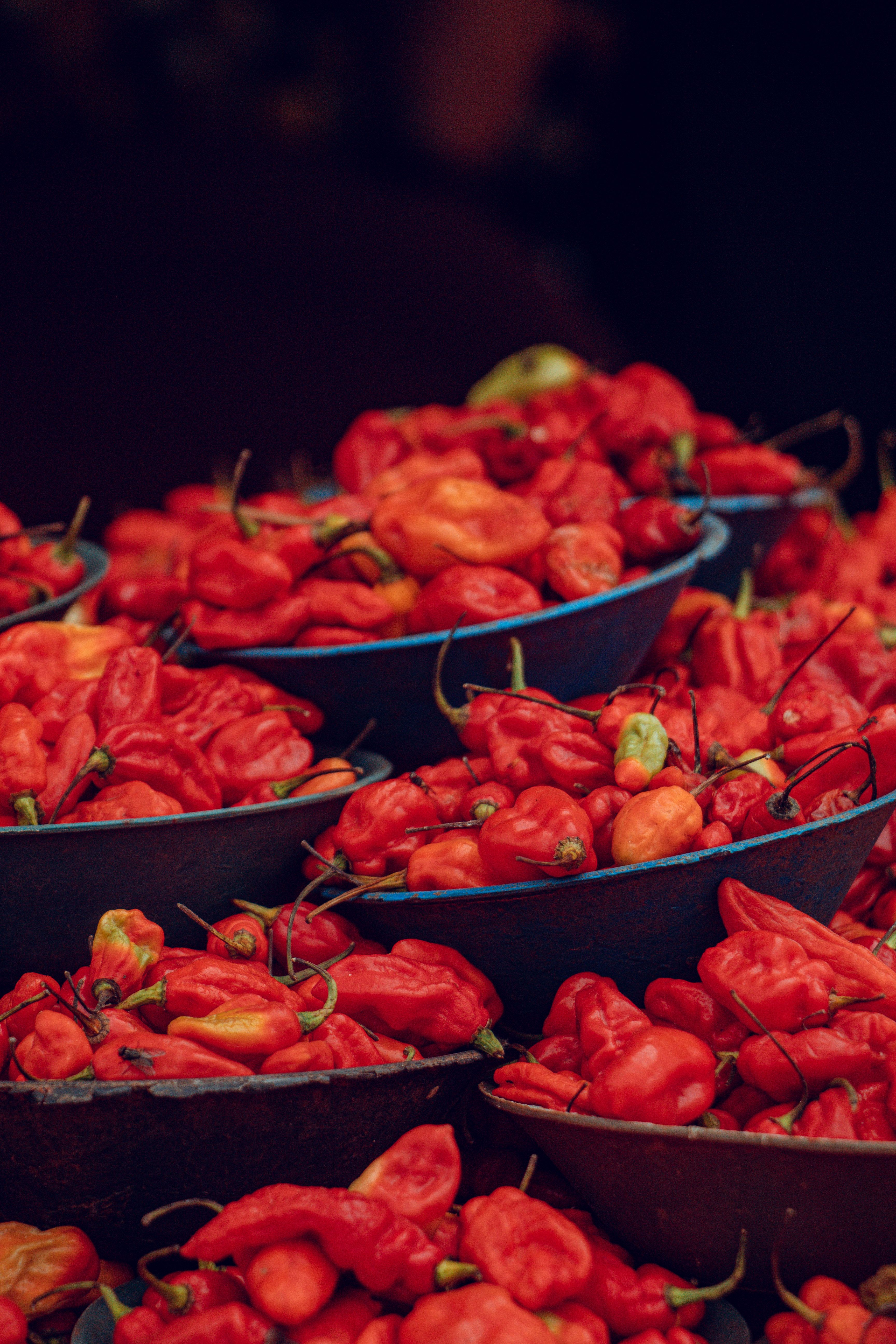 Piment